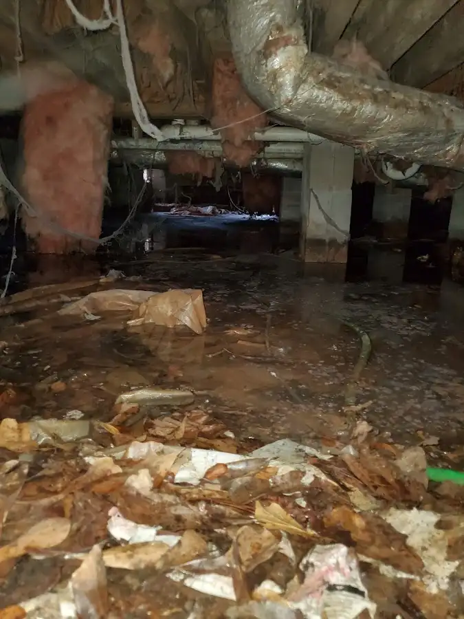 Crawl space flood assessment for Leak Detection & Repair in Texarkana